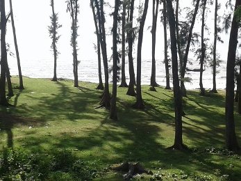 একছুটে বাঁকিপুটে